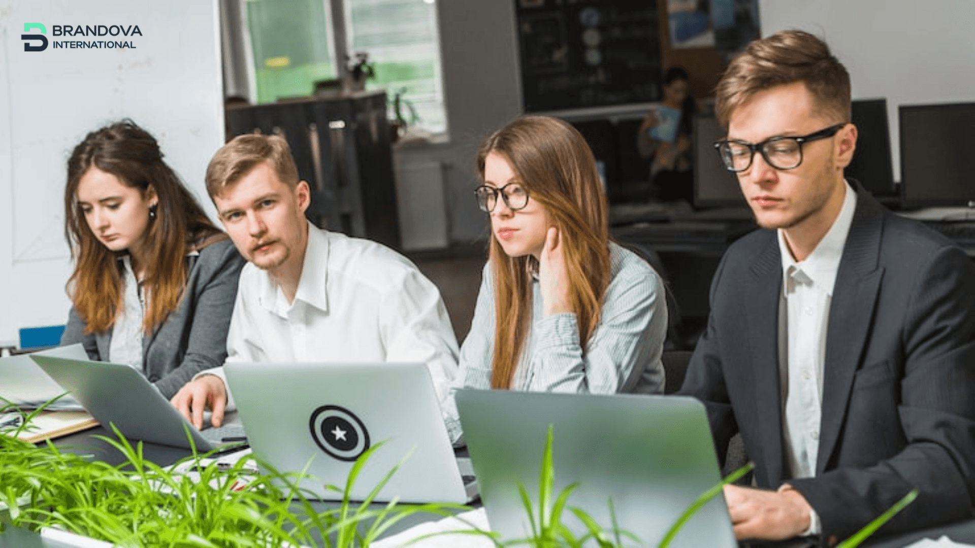 Brandova International Case Studies